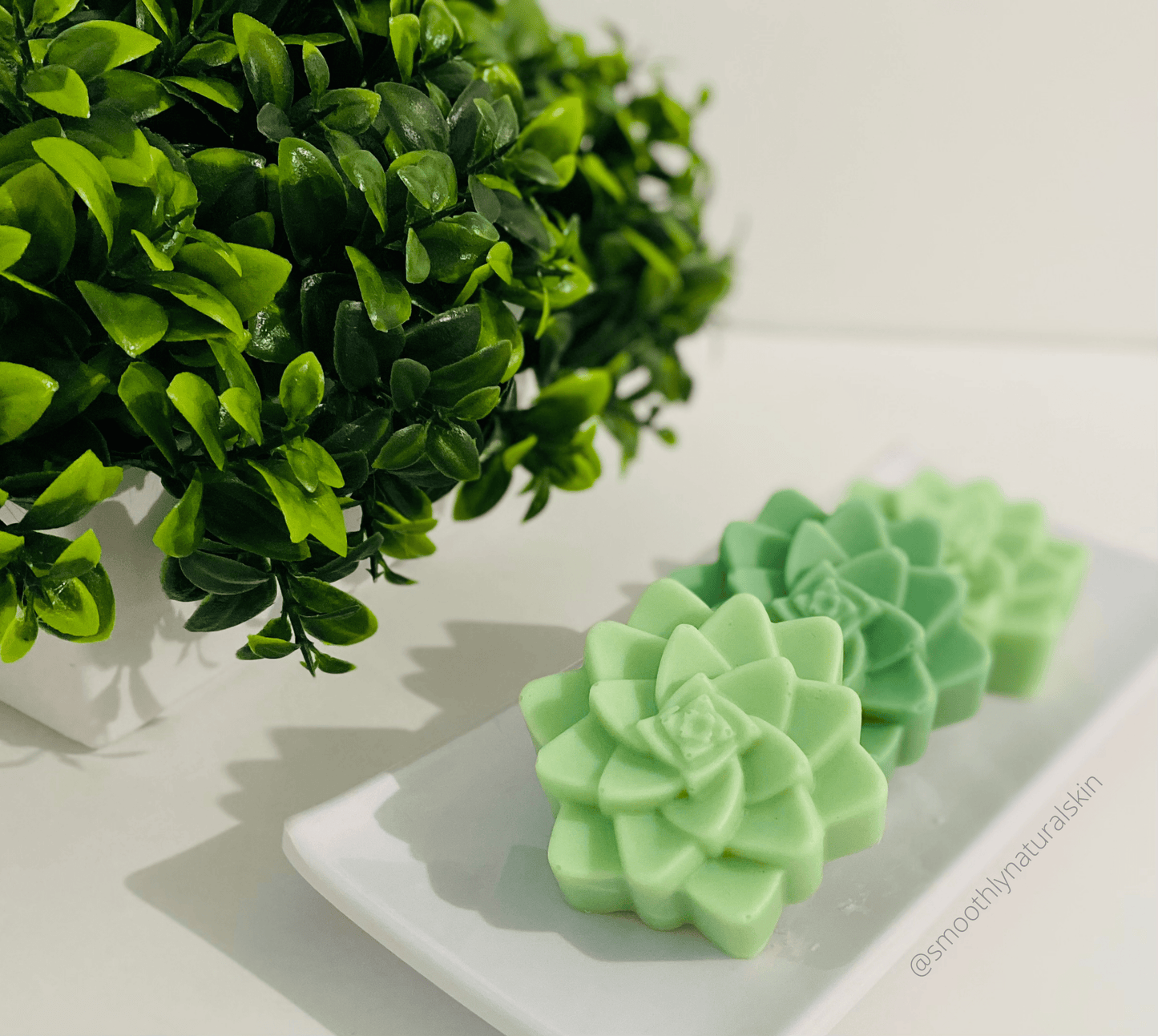 Soap Bar