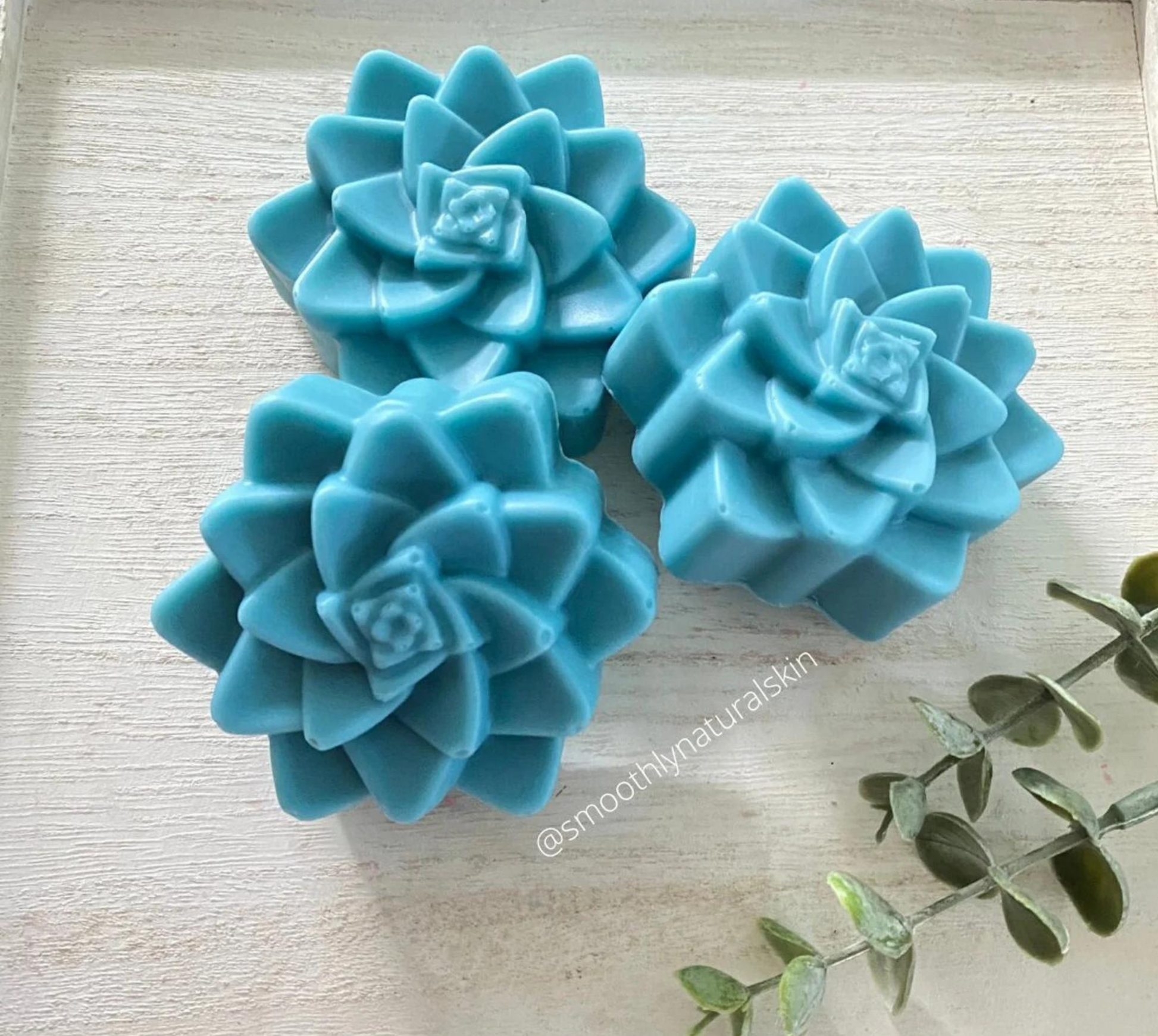 This succulent soaps are so beautiful; they are perfect for succulent lovers! It will add a perfect touch to your bathroom decoration. Succulent Soap is made in small batches using the cold process method. To elaborate this soap we are using nourishing butters, conditioning oils. This soap is scented with Bergamot Essential oil. This soap belong to our Essential collection. For more soap scented with essential oil visit our page; in the Essential collection section. Smoothly Natural Skin